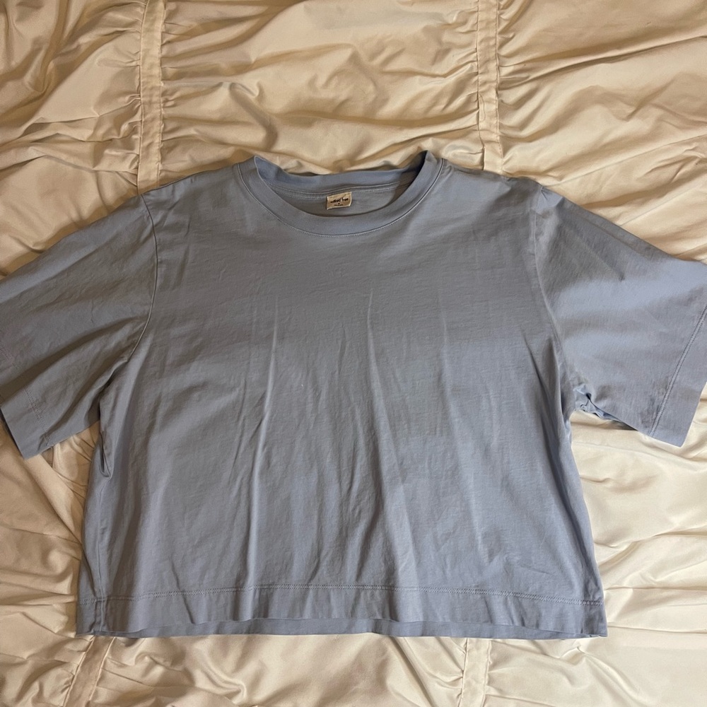 Aritzia Crop Top
